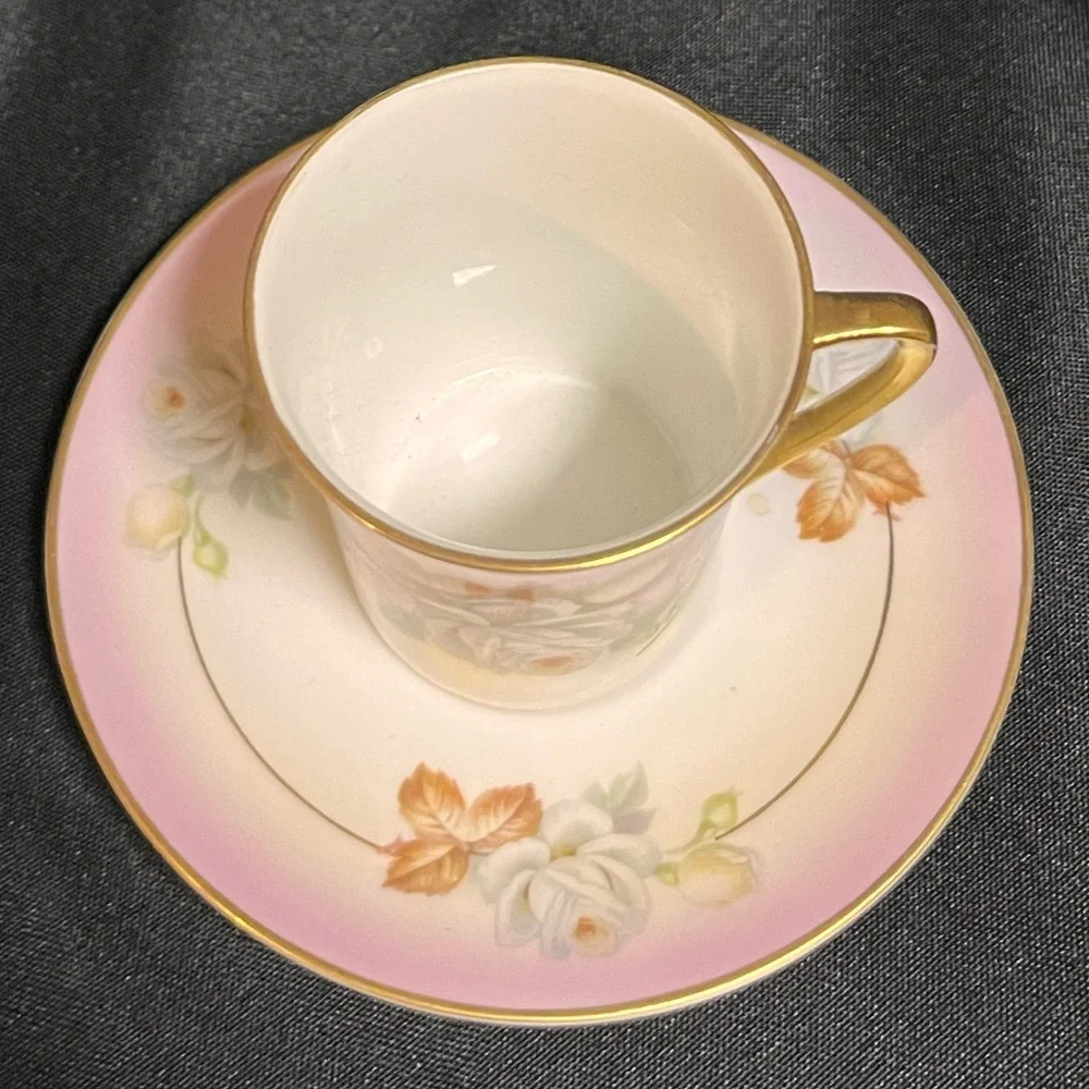 Antique Royal Rudolstadt Chocolate Cup Saucer Hand Painted F. Kahn Mint Cond